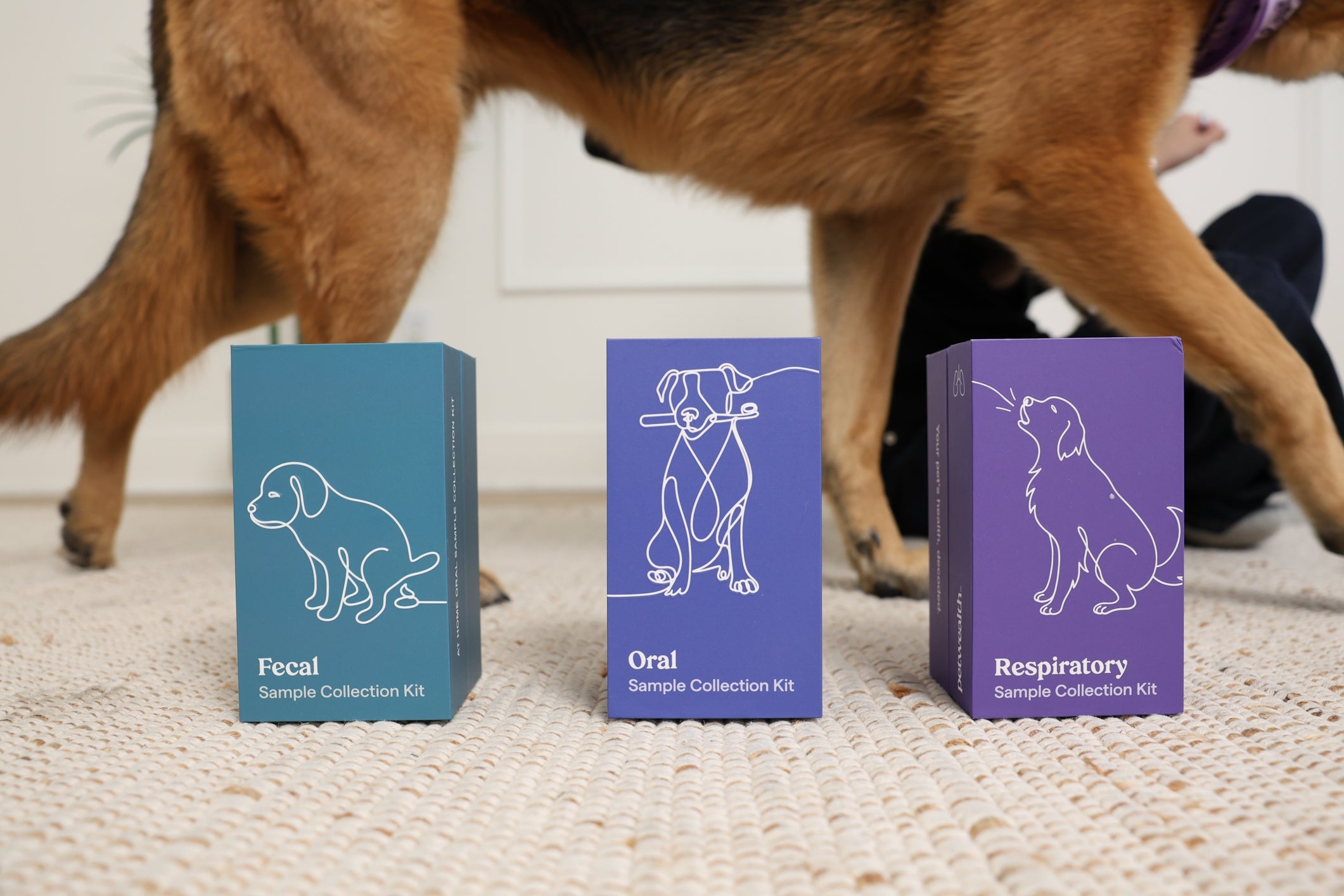 Dog Health Kits