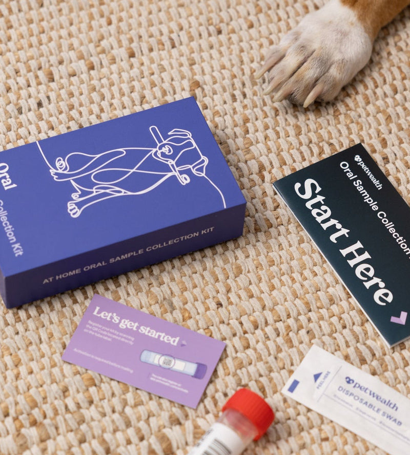 Dog Complete Health Kit