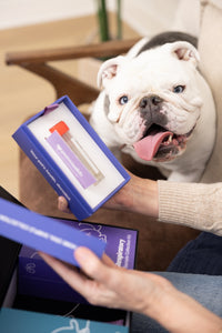 Dog Complete Health Kit