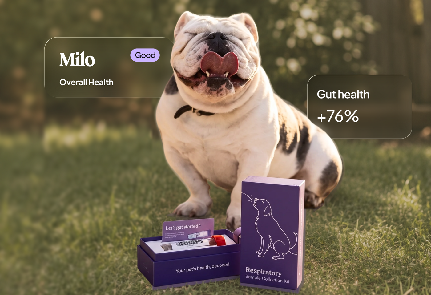 Petwealth product detail