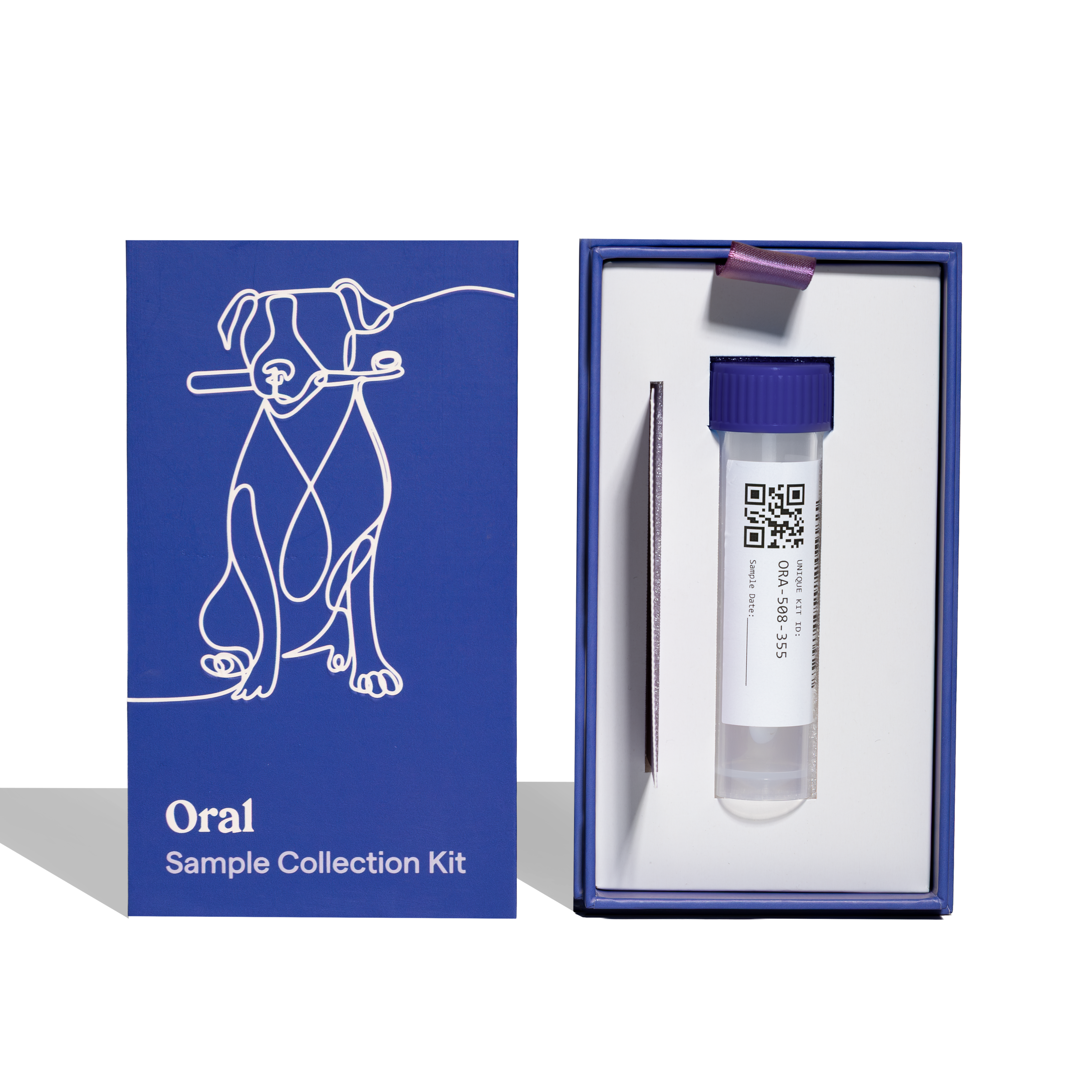 A dog oral sample collection kit shown with its blue outer box and the open inner kit containing a small vial with a purple cap, a clear tube, and a metal tool on a white background.