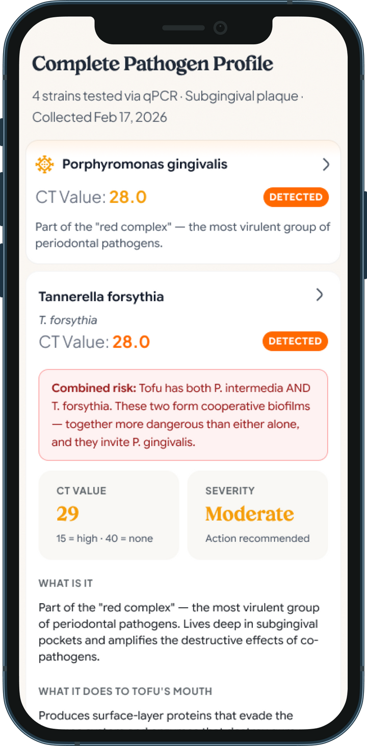 Petwealth app health report on a phone