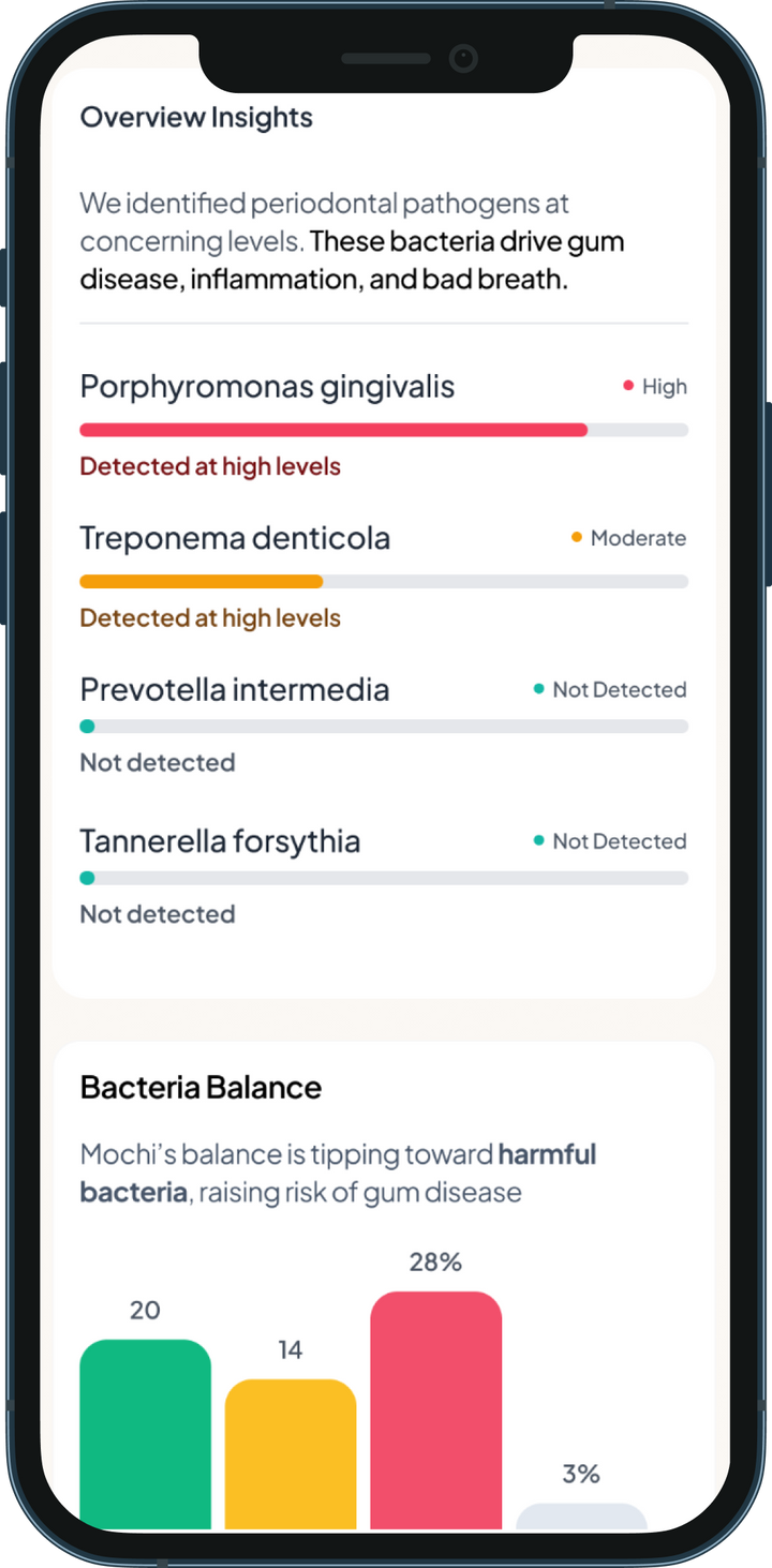 Petwealth app health report on a phone