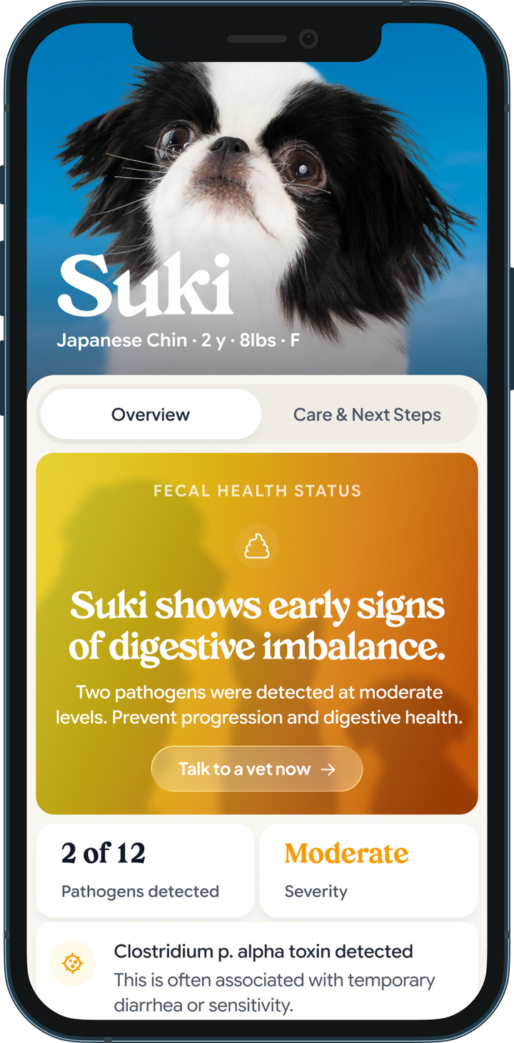 Petwealth app health report on a phone