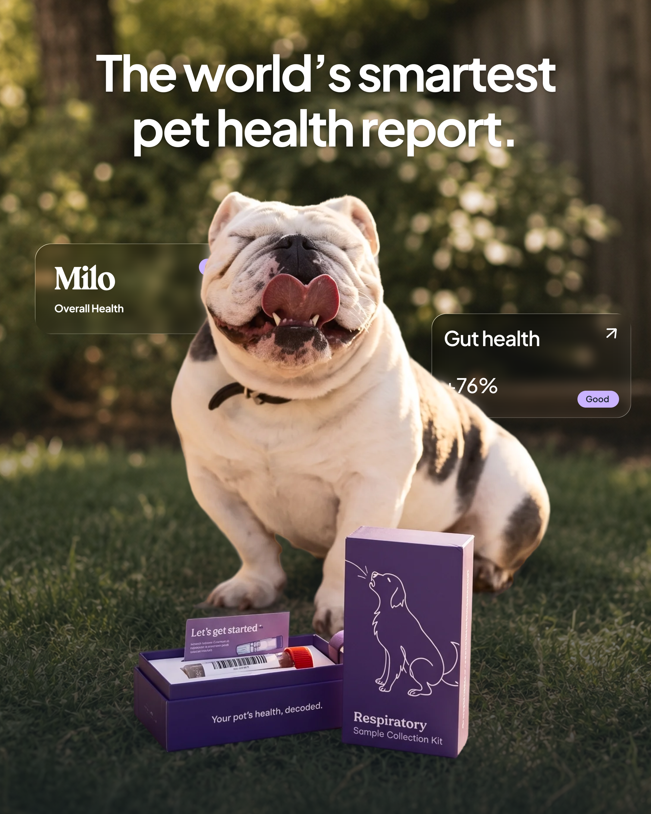 Petwealth