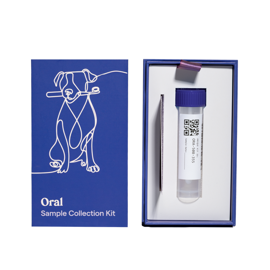 Oral Health Kit for Dogs