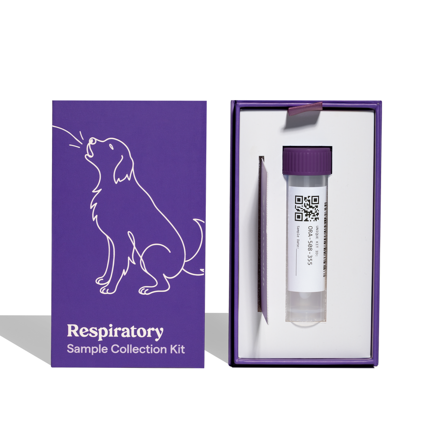 Respiratory Health Kit for Dogs