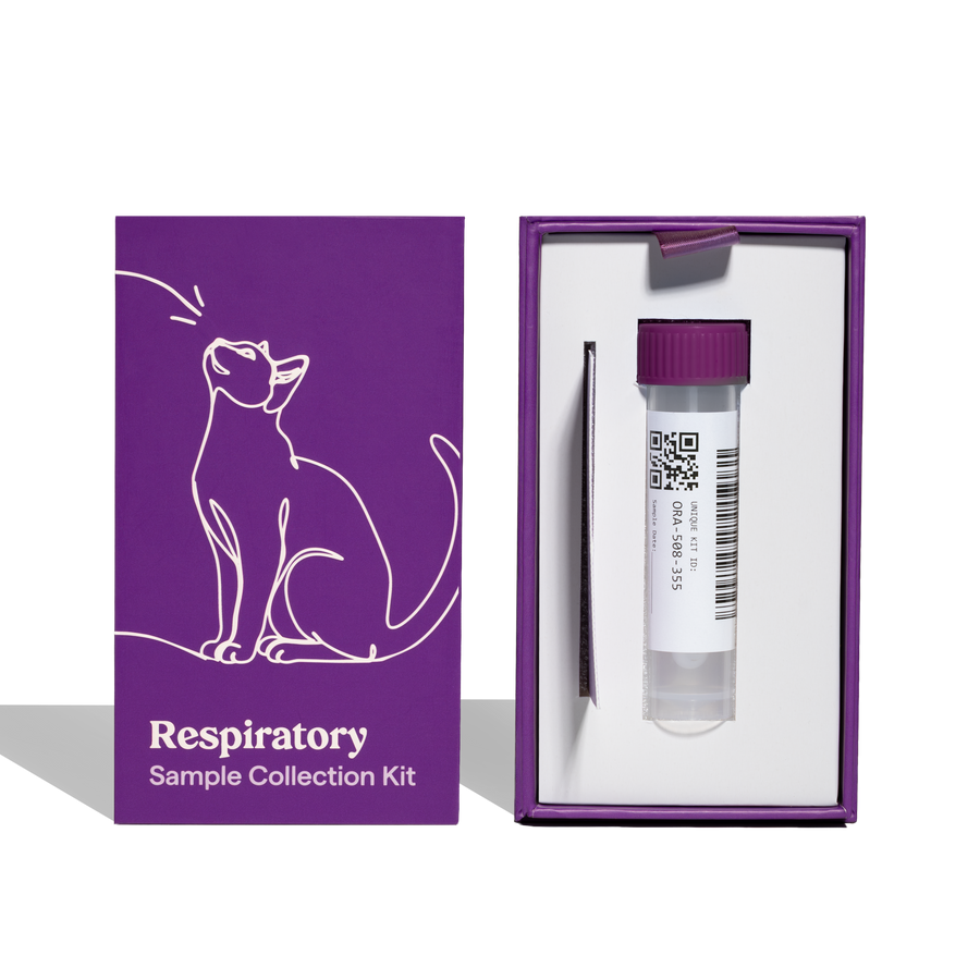 Respiratory Health Kit for Cats