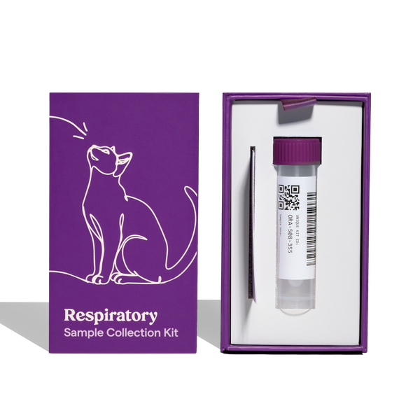 Cat Respiratory Health Kit — URI & Infection Screening Kit – Petwealth