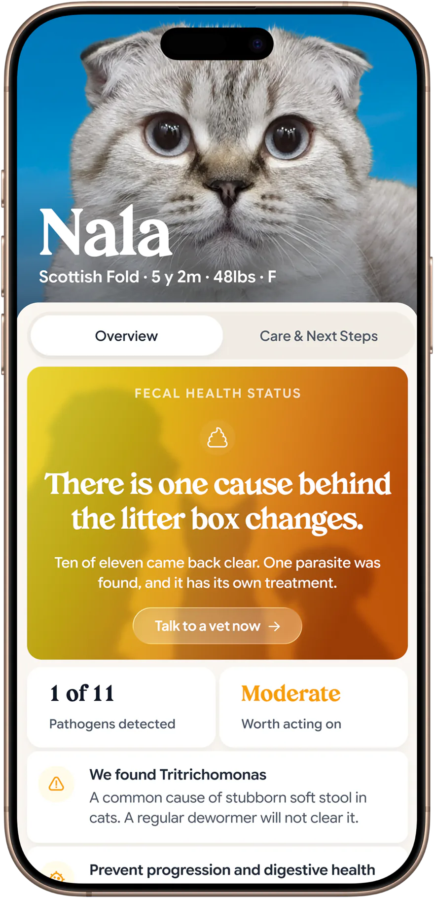 Cat health status overview in the Petwealth app