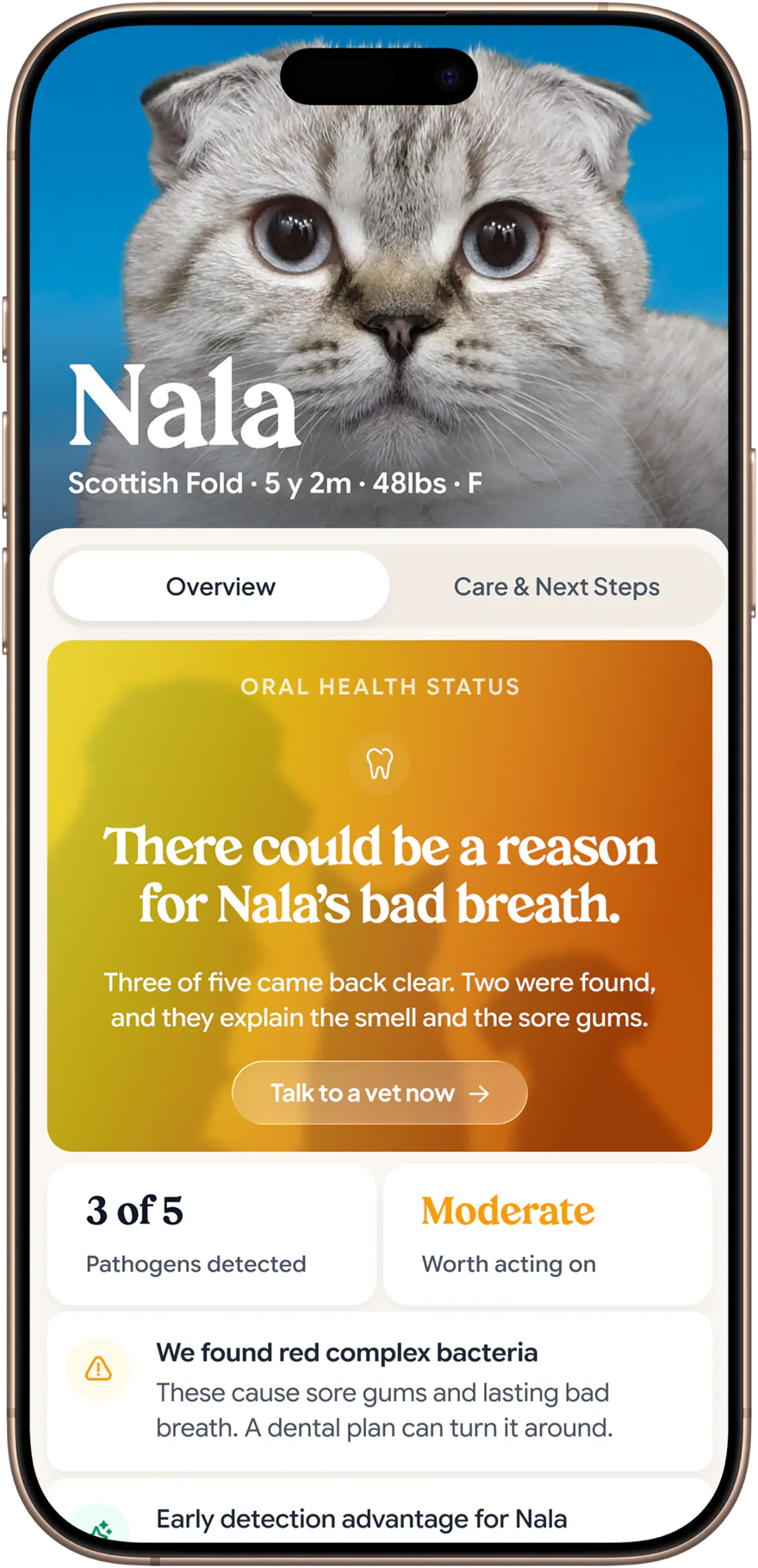 Cat health status overview in the Petwealth app