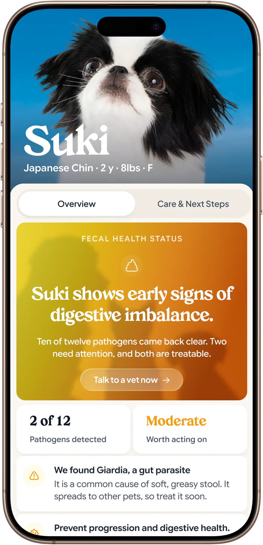 A pet health status overview in the Petwealth app