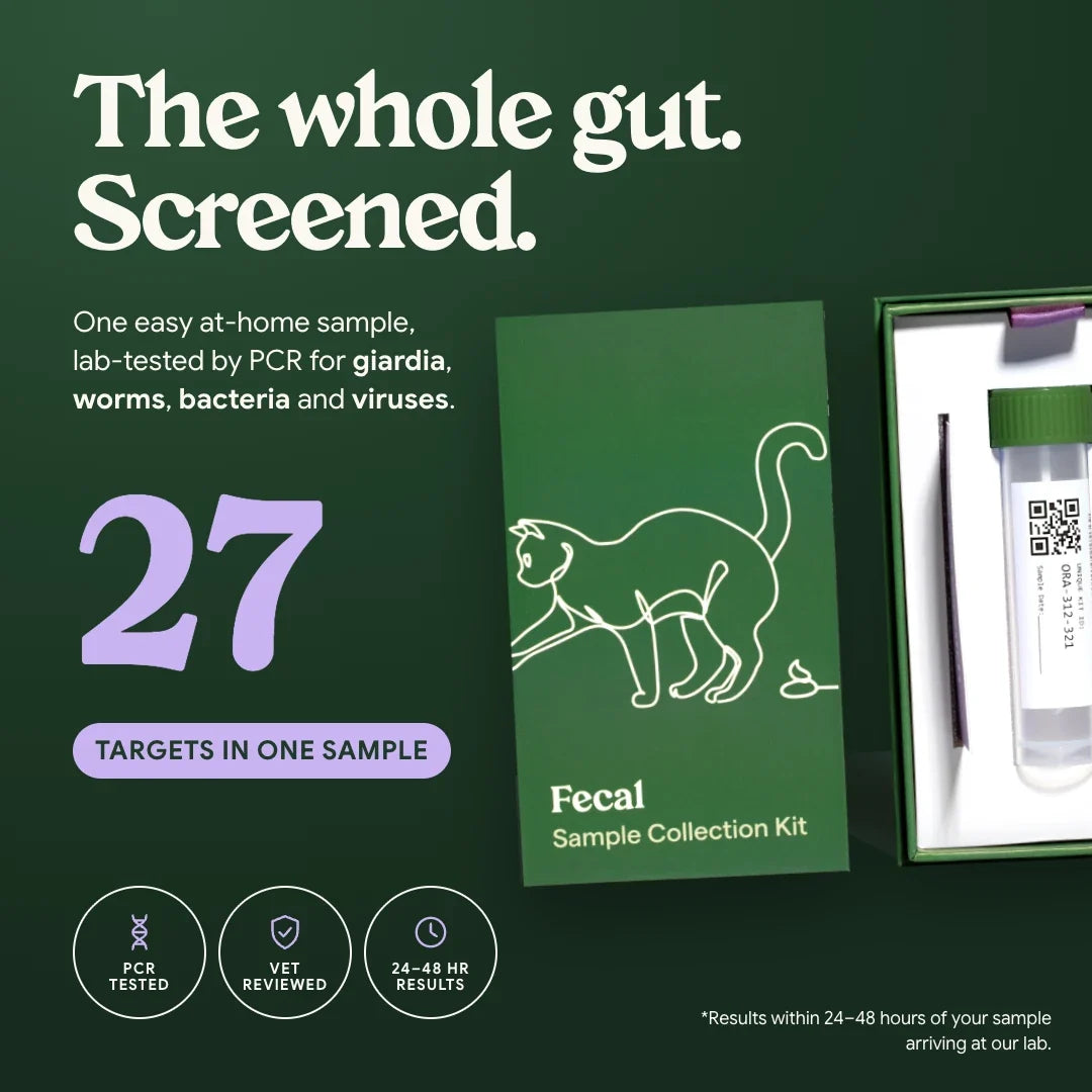 The whole gut, screened: one at-home sample, lab-tested by PCR for 27 targets