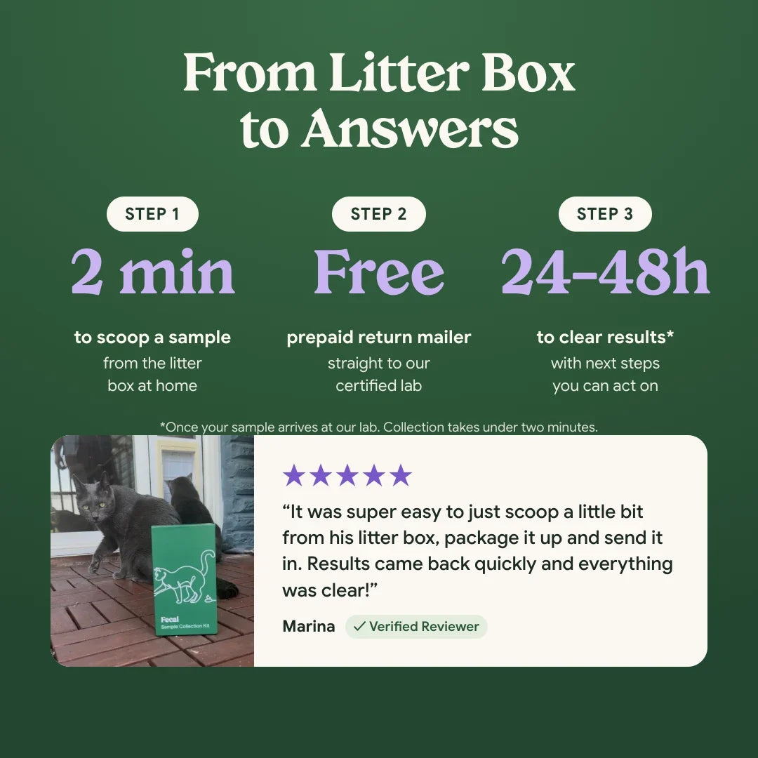 From litter box to answers in three steps