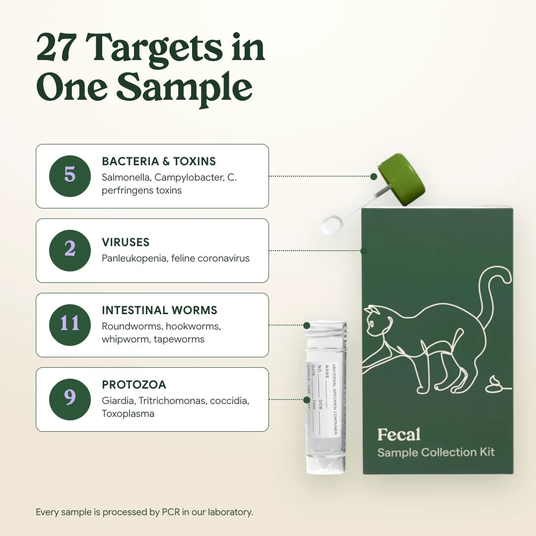 27 targets in one sample: bacteria, viruses, worms and protozoa