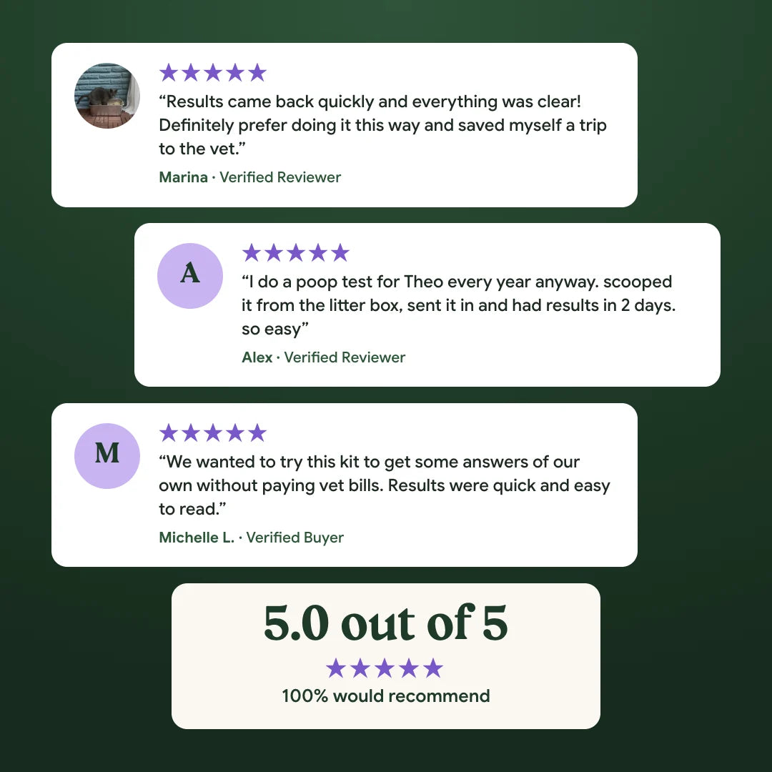Verified customer reviews, rated 5.0 out of 5