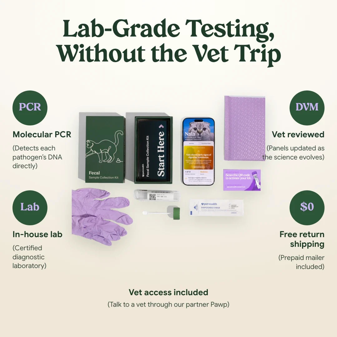 Lab-grade testing without the vet trip: what is in the kit